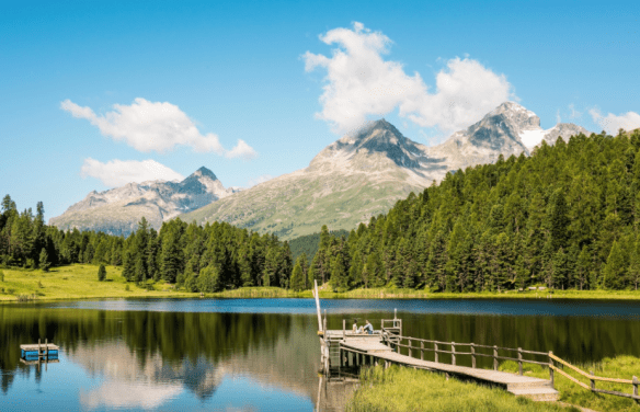 screenshot2019-01-31at12.41.43